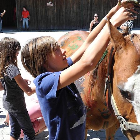 Espi-Stables Ferienhof Esterhammer Liebenau  Екстериор снимка