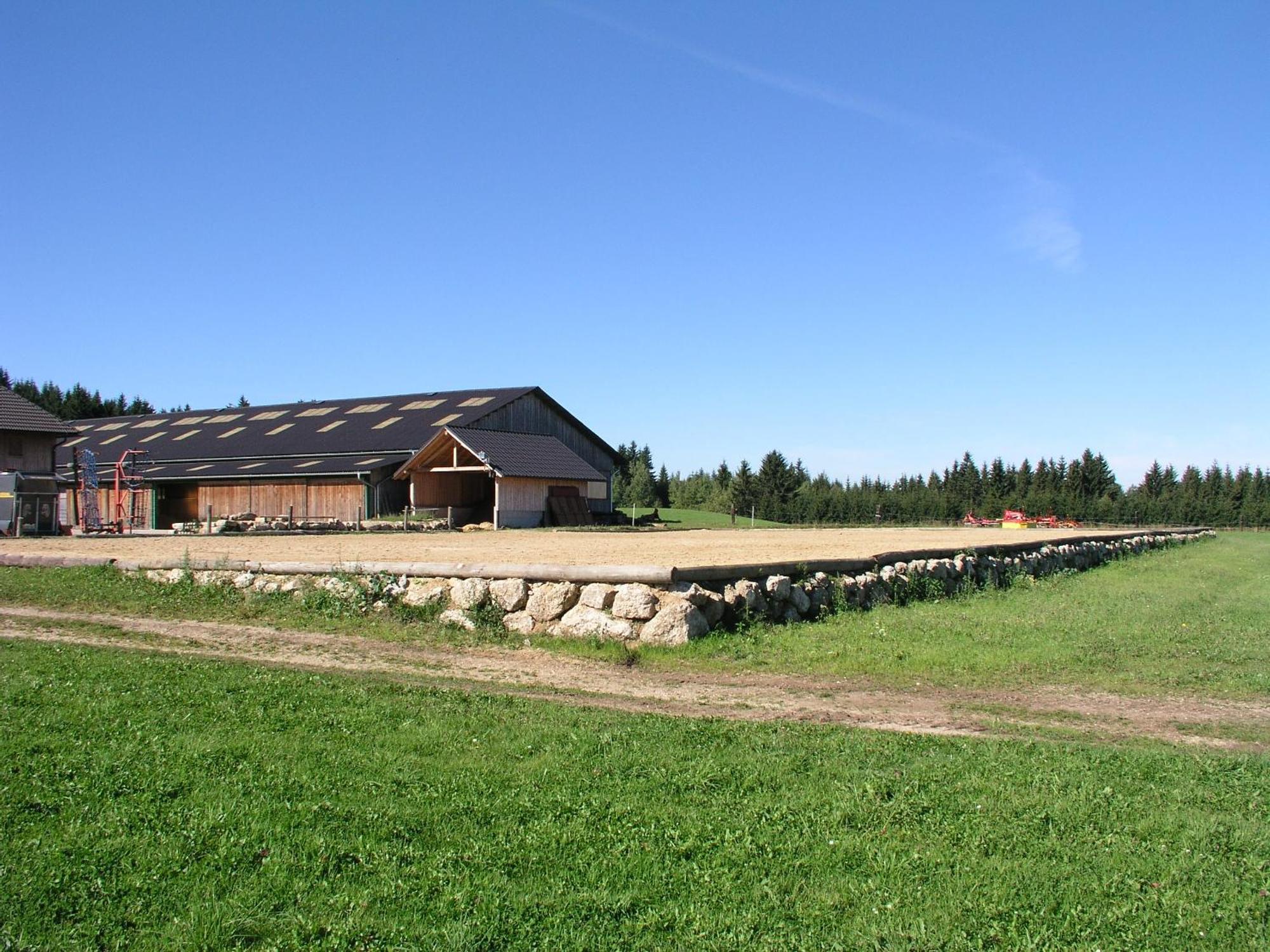 Espi-Stables Ferienhof Esterhammer Liebenau  Екстериор снимка