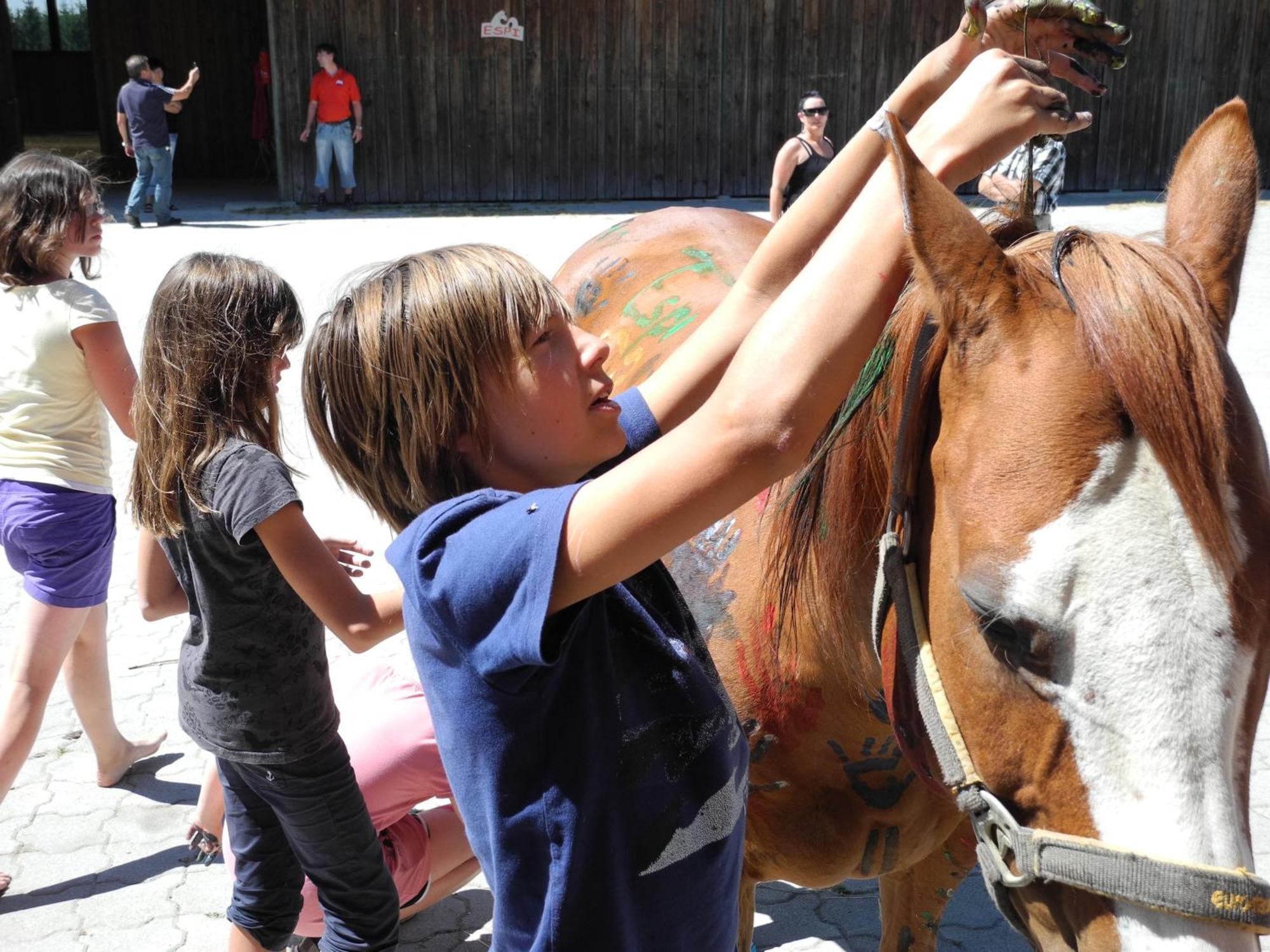 Espi-Stables Ferienhof Esterhammer Liebenau  Екстериор снимка