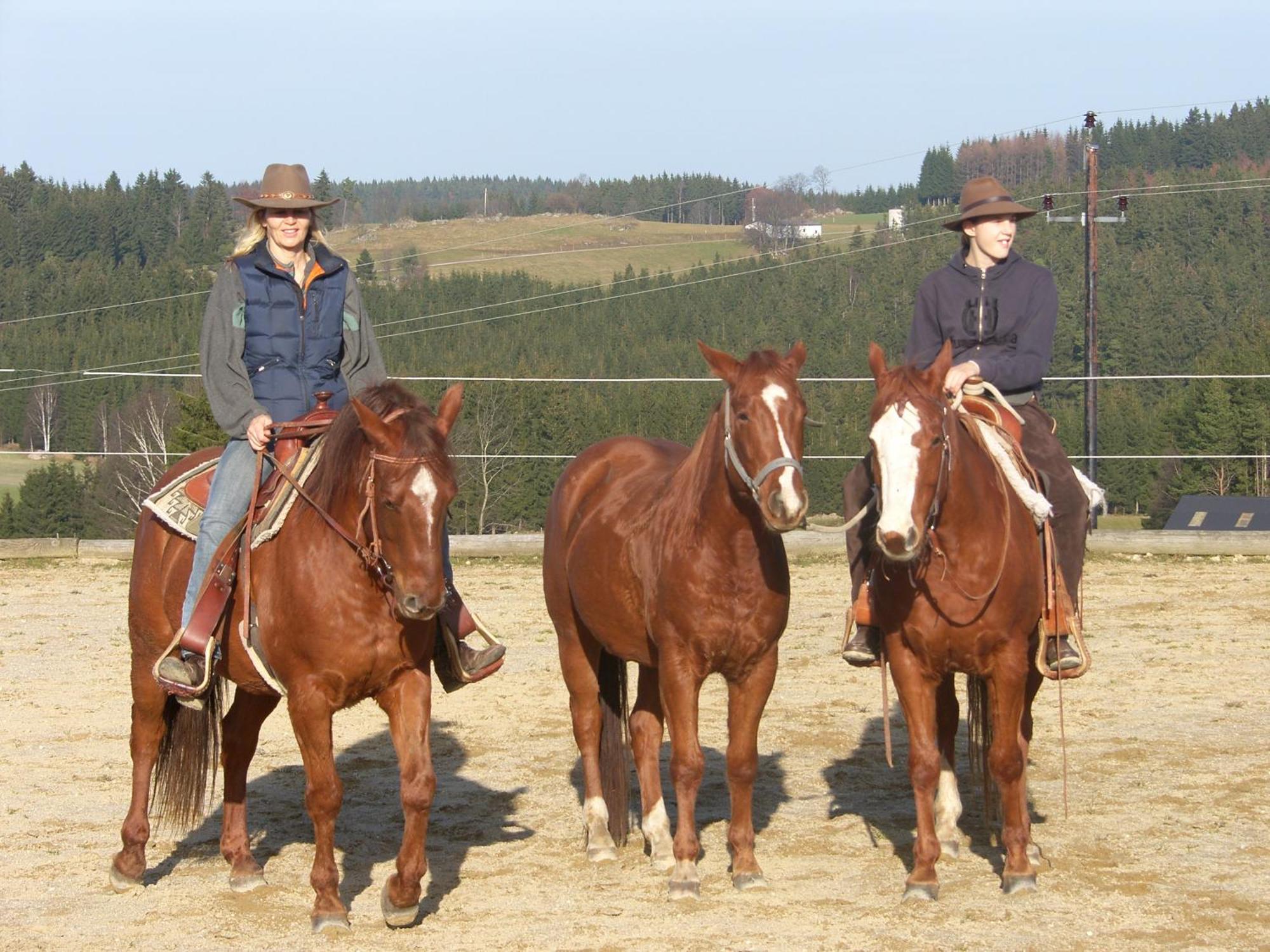 Espi-Stables Ferienhof Esterhammer Liebenau  Екстериор снимка